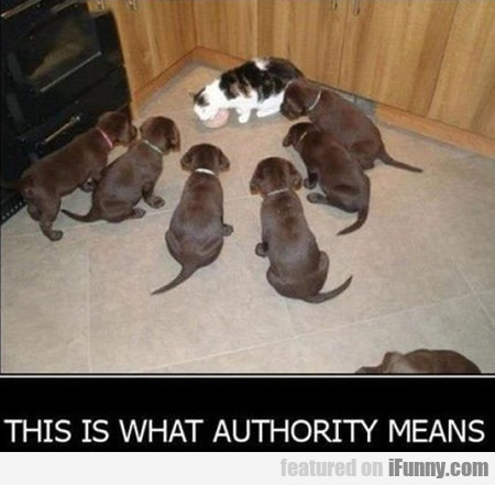 This Is What Authority Means
