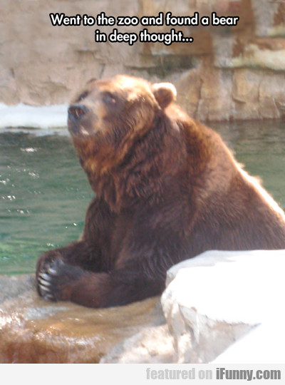 Went To The Zoo And Found A Bear...