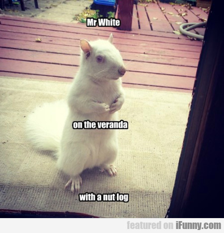 Mr. White On The Veranda With A Nut Log
