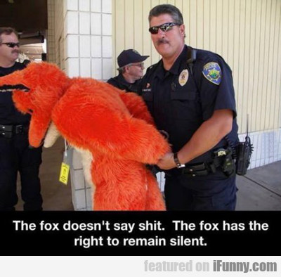 The Fox Doesn't Say Shit...