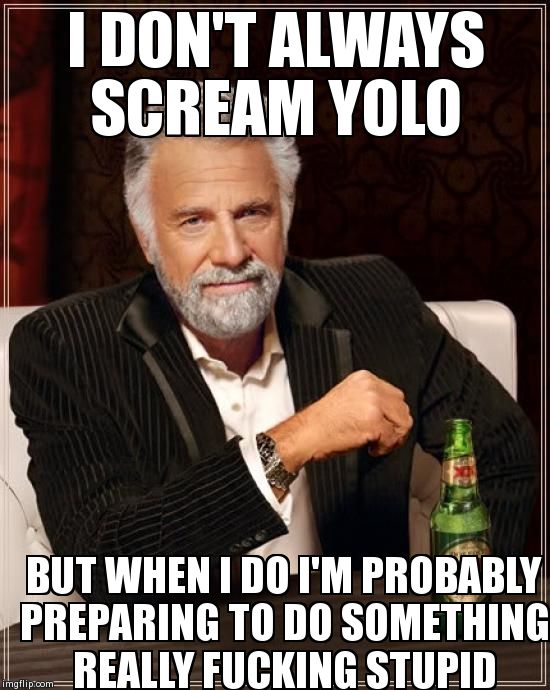 The only acceptable YOLO reference