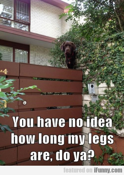 You Have No Idea How Long My Legs Are...