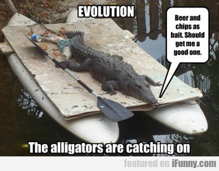 Evolution. The Alligators Are Catching You