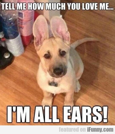 Tell Me How Much You Love Me... I'm All Ears