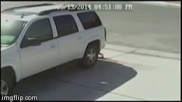 Cat saves 4-year old boy from stray dog. This video was taken by the family's security camera.
