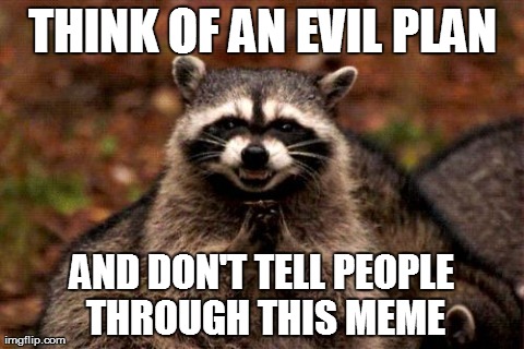 The Real Evil Plotting Raccoon