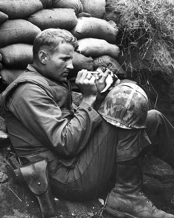 7. When this soldier, in the middle of life or death situations, stopped to take care of a kitty who wandered in the area.