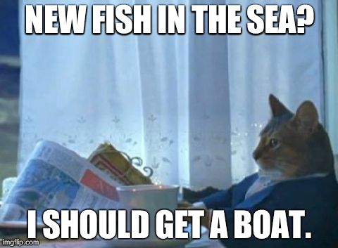 I Should Buy A Boat Cat